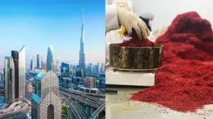 Safran à Dubaï